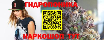 индика Коммунар