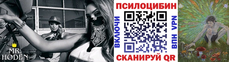 Псилоцибиновые грибы Psilocybe  Каспийск 